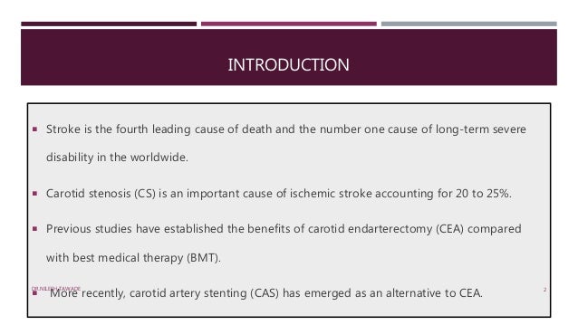 Carotid Artery Stenting: The Basics